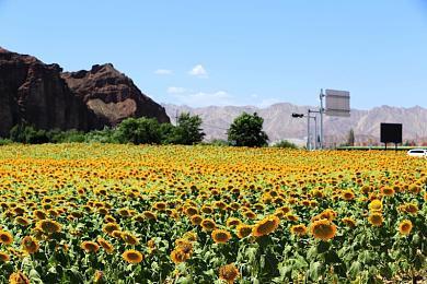 《碧蓝幻想Versus：崛起》2.00版本更新2月26日上线